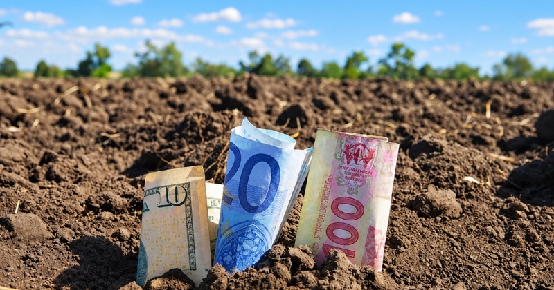 На Херсонщині директора ліцею запідозрили в передачі землі фермеру