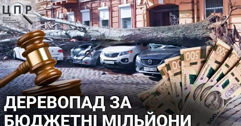 Коштовний деревопад: як одесити виграють в мерії суди щодо пошкоджених автівок