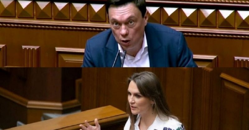 Жили на зарплату: що змінилося торік в деклараціях нардепів Колебошина та Бобровської