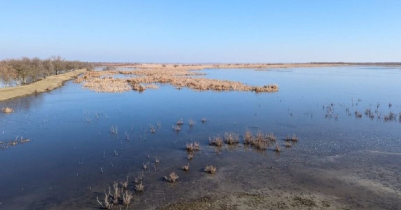 На Одещині скасували багатомільйонний тендер на проведення днопоглиблювальних робіт на Дунаї