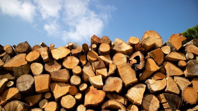 У Миколаєві розслідують привласнення коштів на оборонних закупівлях