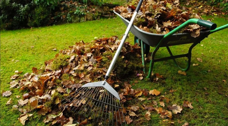 У Миколаєві витратять майже півтора мільйона на лавки та вивіз листя