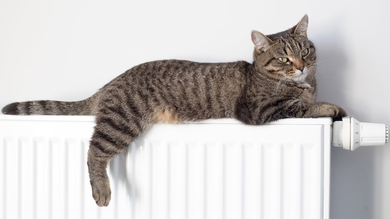 Миколаївцям незаконно нарахували понад 53 мільйони на тепло