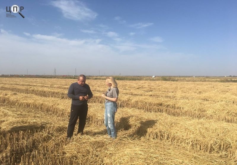 "Зерно як зброя":  ЦПР зняв фільм-розслідування про причетних до знищення української агропродукції