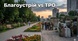 Благоустрій чи ТРО: бюджетні пріоритети громад Миколаївського району