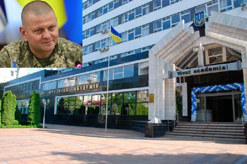 Залужний захистив дисертацію в Одеській юракадемії: що кажуть у Ківалова