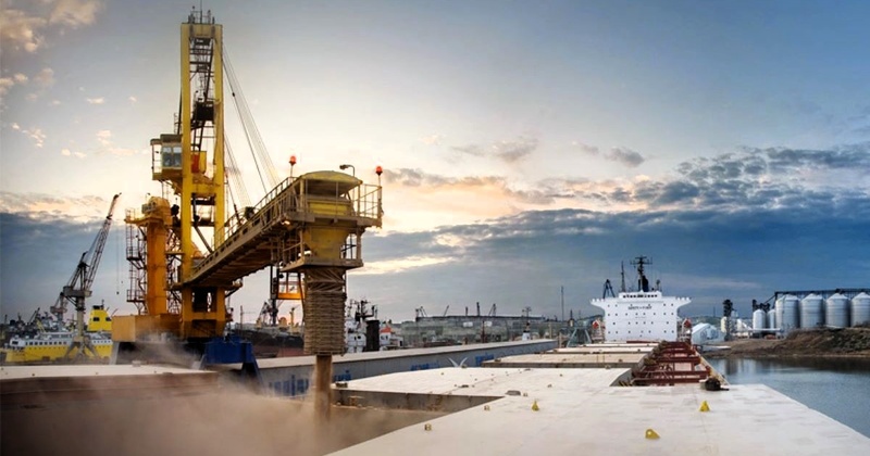 Мережа фірм та Ренійсьий елеватор: у Миколаєві викрили схему ухилення від податків