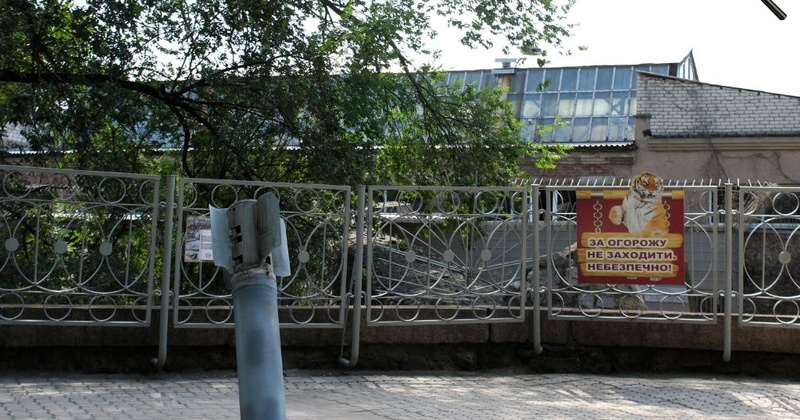 Пів року під обстрілами: як Миколаївський зоопарк живе під час війни та чому вирішив знов відкритися