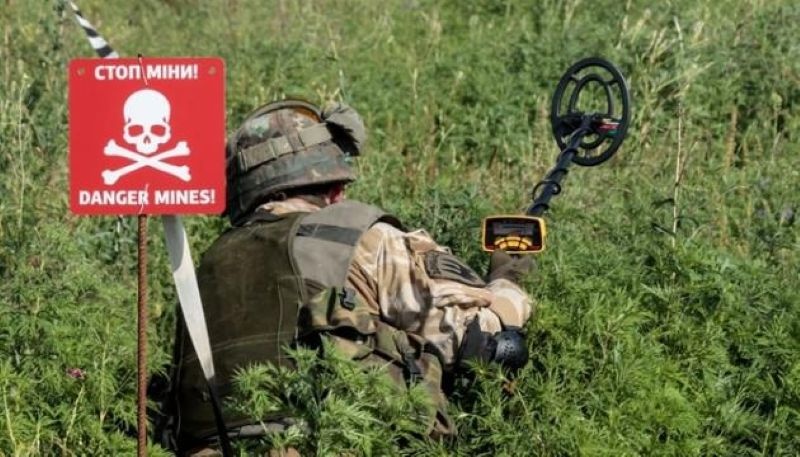 На Миколаївщині фермер фіктивно розмінував поля на 29 мільйонів