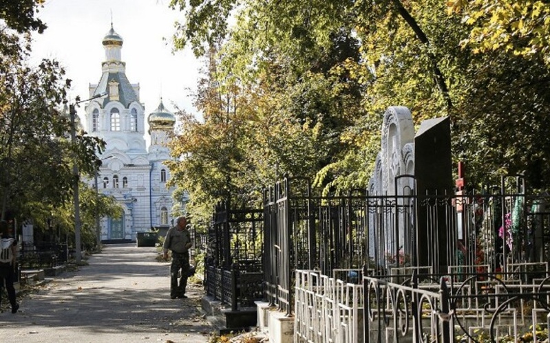 В Одесі зріжуть понад півсотні дерев на кладовищах за майже мільйон