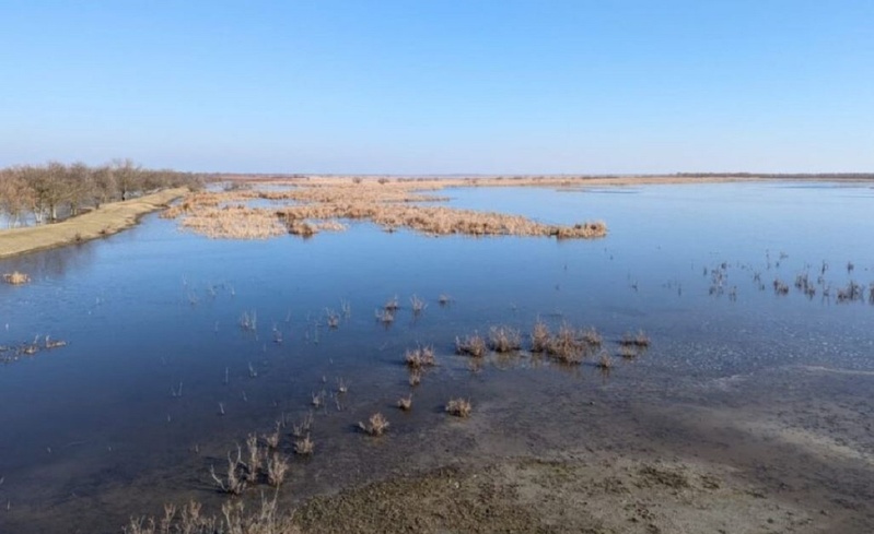 На Одещині скасували багатомільйонний тендер на проведення днопоглиблювальних робіт на Дунаї