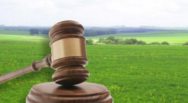 Невідомі засіяли на Одещині понад 65 гектарів землі Міноборони