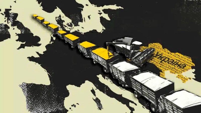 Фіктивні контракти та фальшиві поставки: на Миколаївщині розкрили схему на експорті