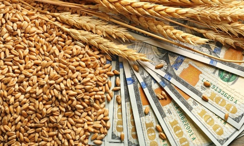 Справа про нелегальний експорт зерна: на Одеській митниці проводять обшуки