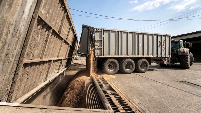 Херсонщина без Каховської ГЕС, але з урожаєм: як рф збирала зерно на окупованих територіях