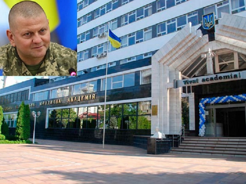 Залужний захистив дисертацію в Одеській юракадемії: що кажуть у Ківалова