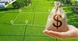 По мільйону за гектар: в селі під Одесою виставили землю на продаж