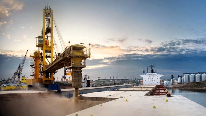 Мережа фірм та Ренійсьий елеватор: у Миколаєві викрили схему ухилення від податків