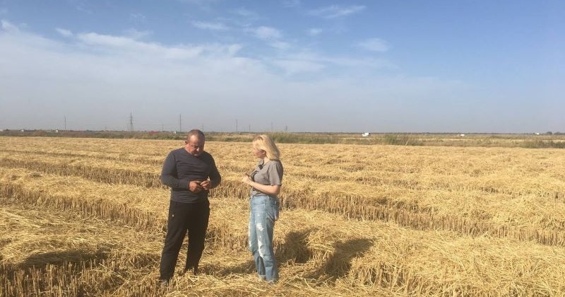 "Зерно як зброя":  ЦПР зняв фільм-розслідування про причетних до знищення української агропродукції