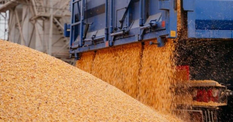 Ексчиновниця Держпродспоживслужби Одещини отримала вирок за фальсифікацію експертизи