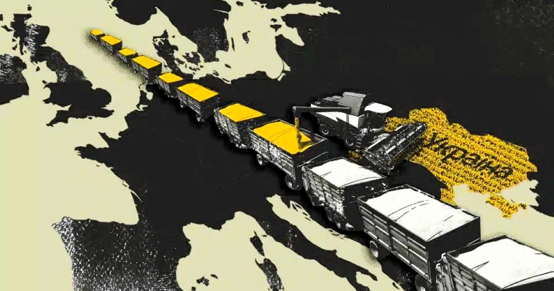 Фіктивні контракти та фальшиві поставки: на Миколаївщині розкрили схему на експорті