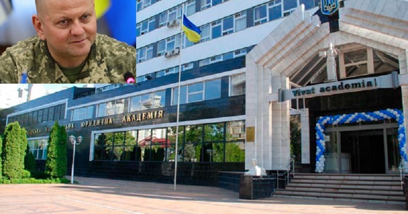 Залужний захистив дисертацію в Одеській юракадемії: що кажуть у Ківалова