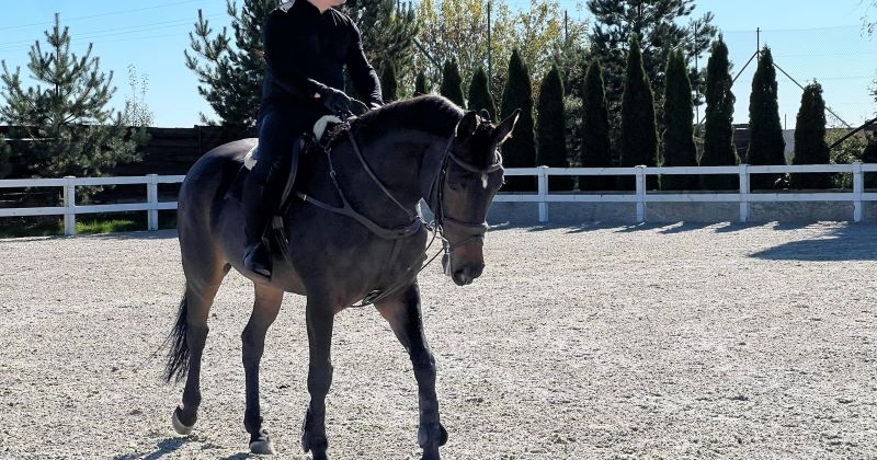 "Нове обличчя" керівника Одеської області: російський слід та відпустки за кордон
