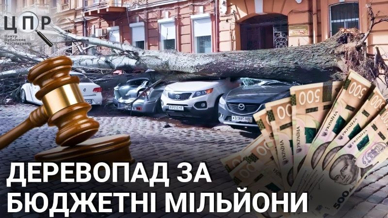 Коштовний деревопад: як одесити виграють в мерії суди щодо пошкоджених автівок