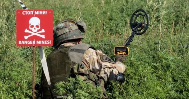 На Миколаївщині фермер фіктивно розмінував поля на 29 мільйонів