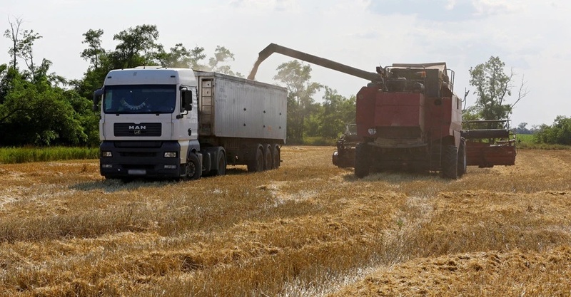 На Миколаївщині з держрезерву "зникло" зерна на 12 мільйонів