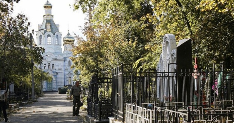 В Одесі зріжуть понад півсотні дерев на кладовищах за майже мільйон